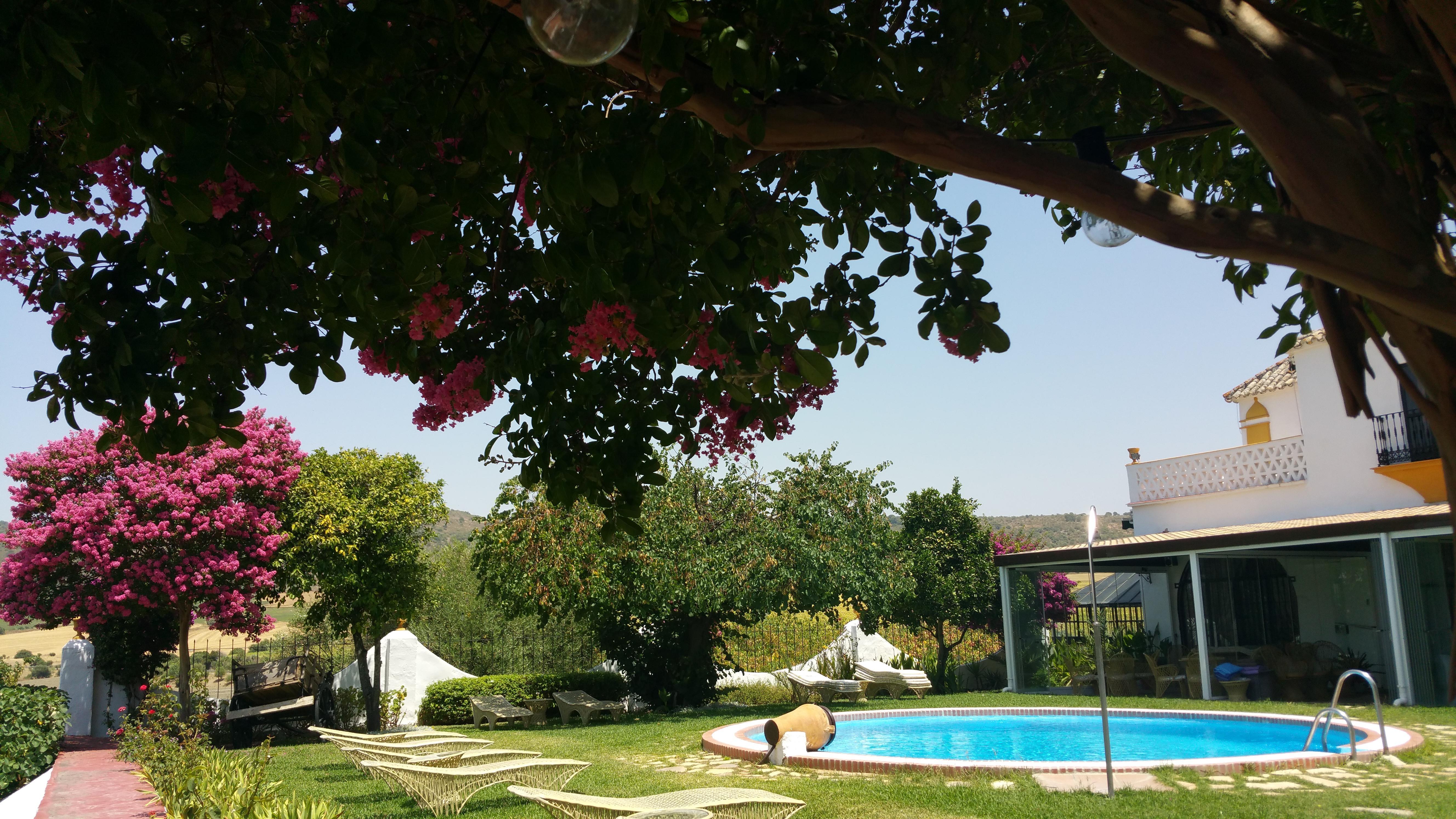 Hacienda El Santiscal Adults Only Hotel Аркос де ла Фронтера Екстериор снимка