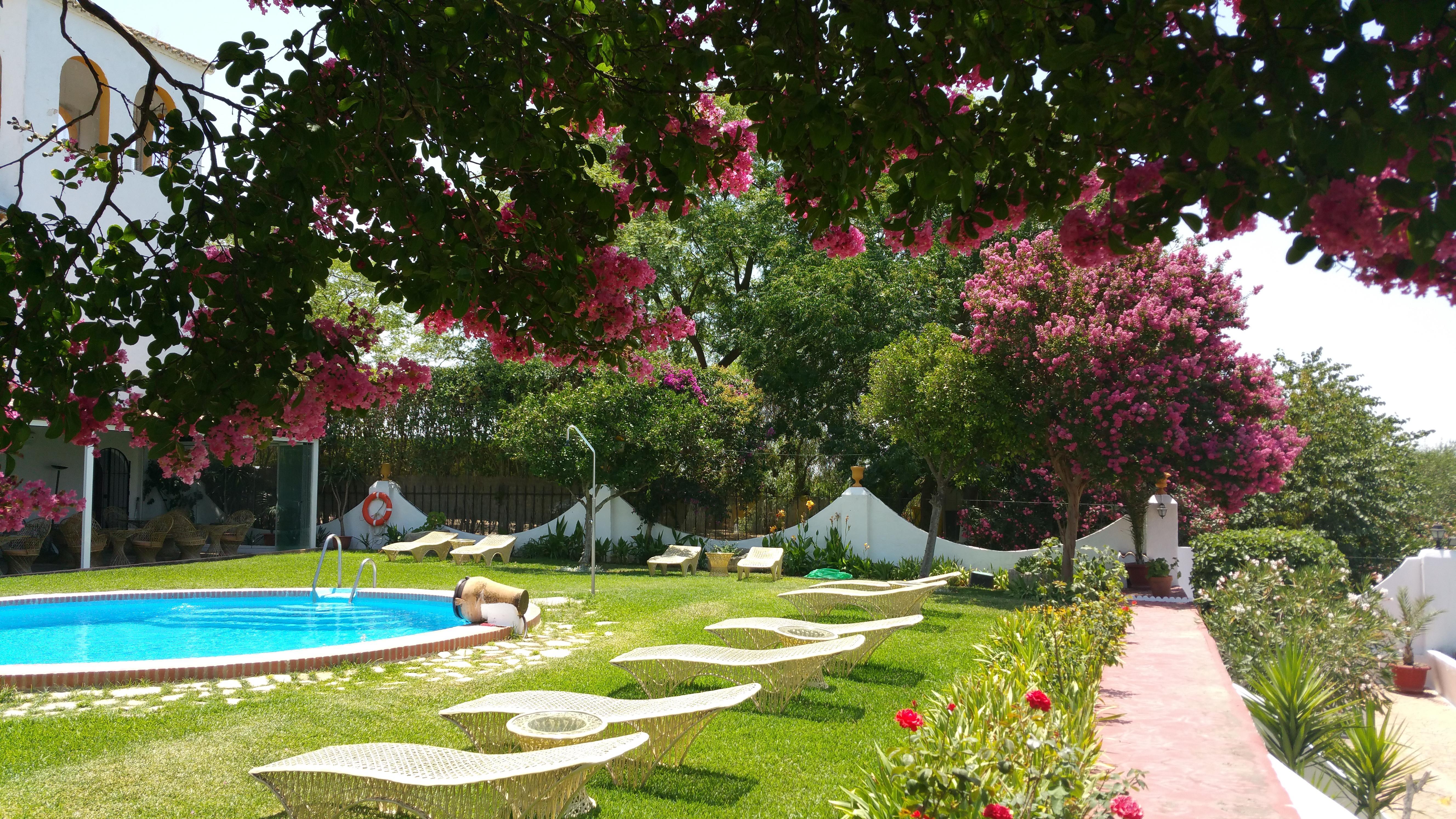 Hacienda El Santiscal Adults Only Hotel Аркос де ла Фронтера Екстериор снимка
