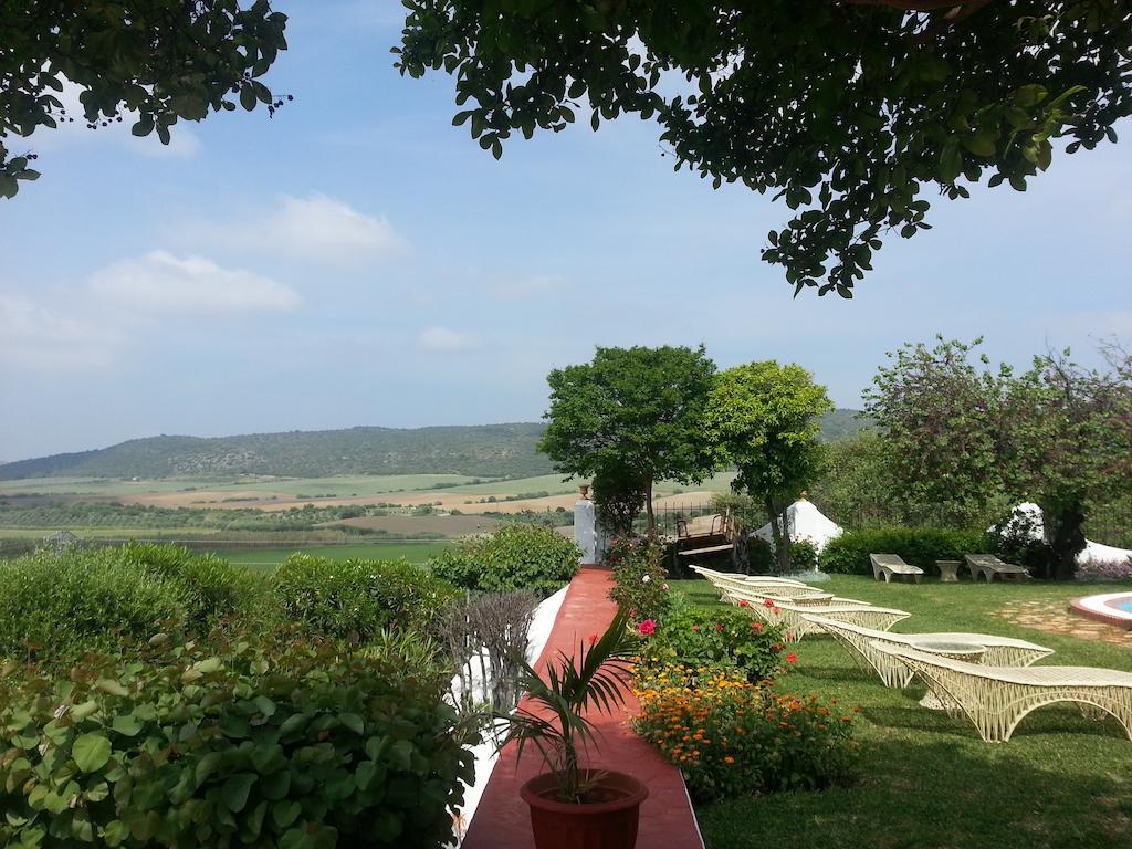 Hacienda El Santiscal Adults Only Hotel Аркос де ла Фронтера Екстериор снимка